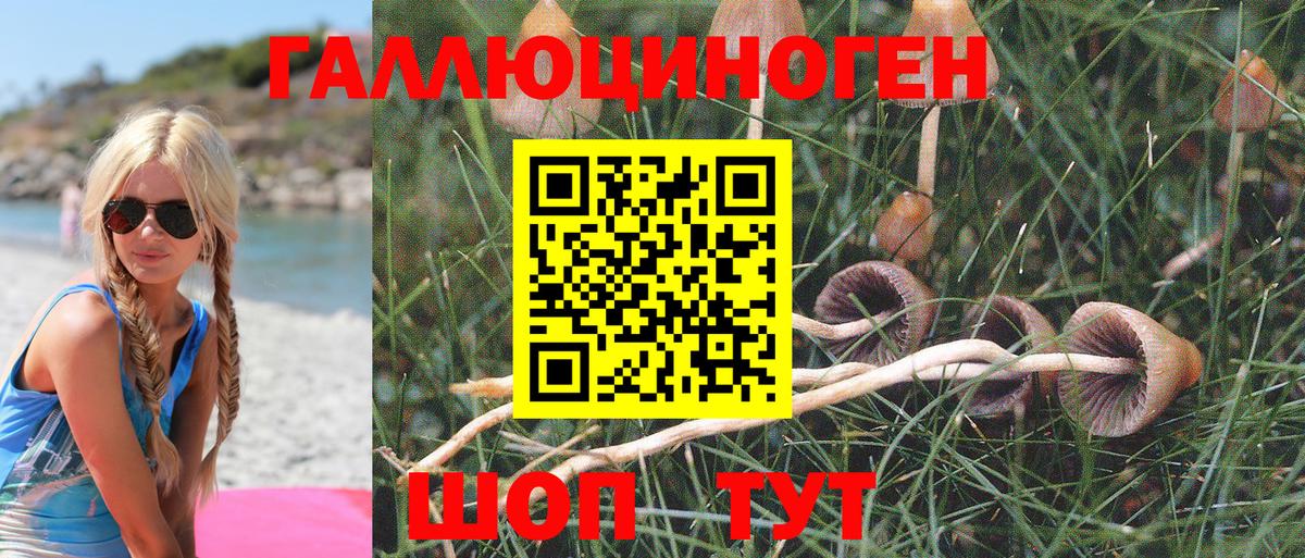 Псилоцибиновые грибы MAGIC MUSHROOMS Менделеевск